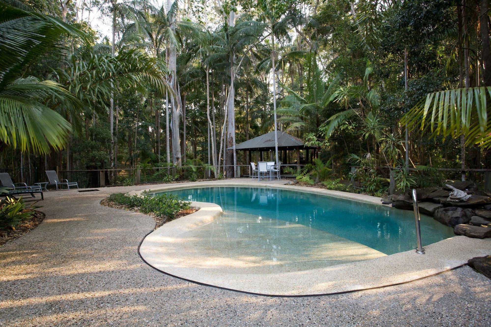 Amore On Buderim Rainforest Cabins Sunshine Coast Kültér fotó