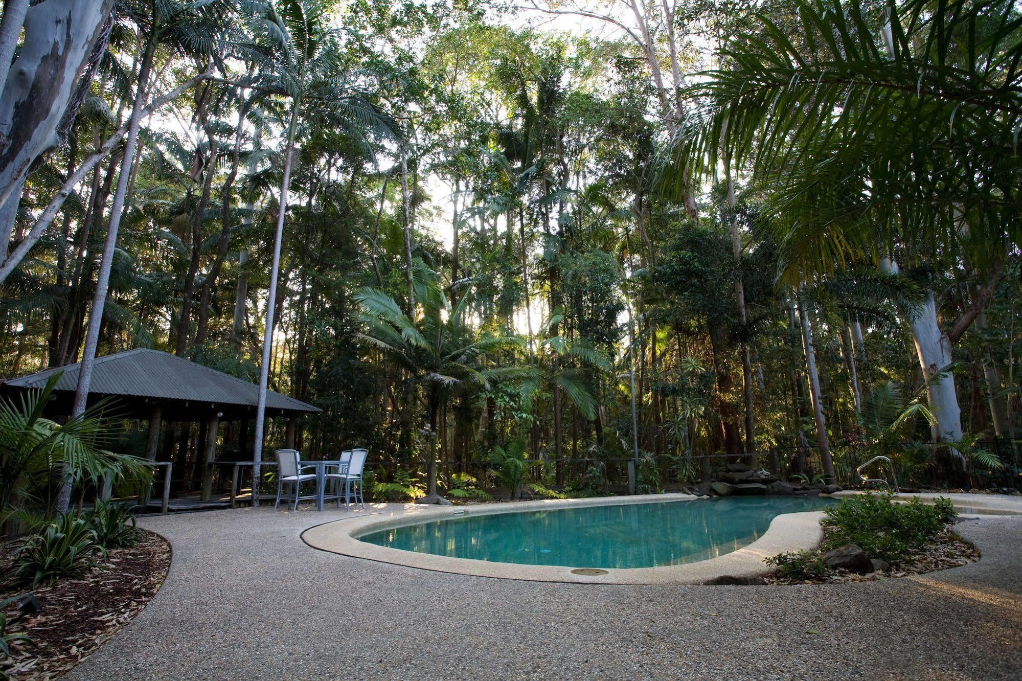 Amore On Buderim Rainforest Cabins Sunshine Coast Kültér fotó